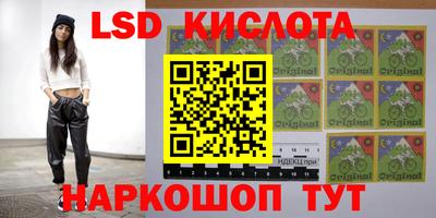 ALPHA PVP Камышлов