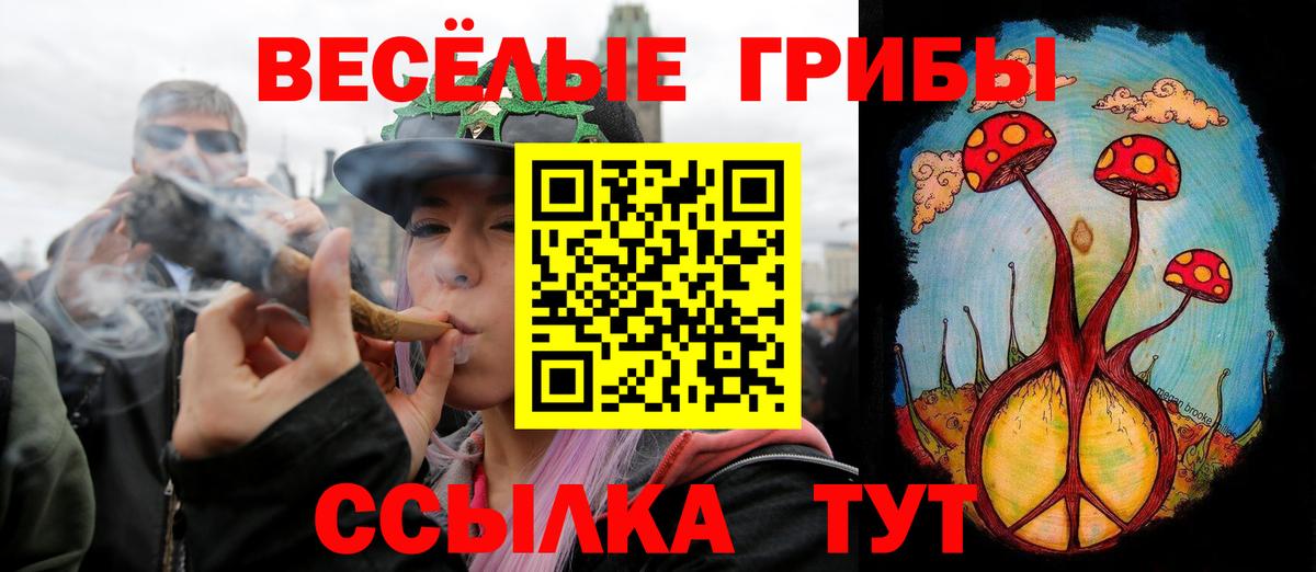 Псилоцибиновые грибы GOLDEN TEACHER Кувандык